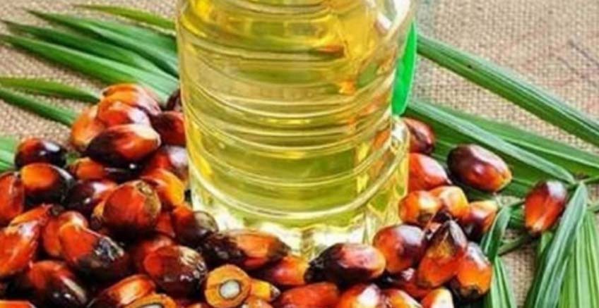Palm Oil News: Indonesia to Allow Key Palm Oil Exports, Sparking Price Swings